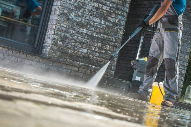 Best Gutter Cleaning  in Lake Magdalene, FL