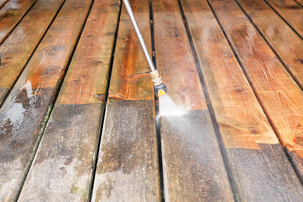 Best Dumpster Area Cleaning  in Lake Magdalene, FL